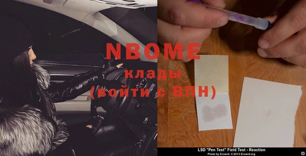 прущие грибы Баксан