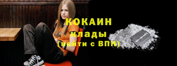 прущие грибы Баксан