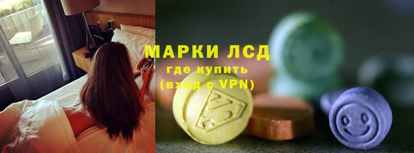 прущие грибы Баксан