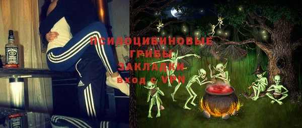 прущие грибы Баксан