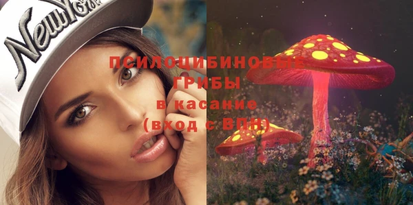 прущие грибы Баксан