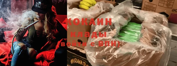 прущие грибы Баксан