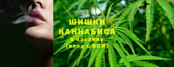 прущие грибы Баксан